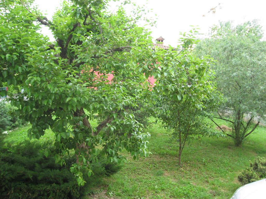 Casa Bruno B&B Mondovì Esterno foto